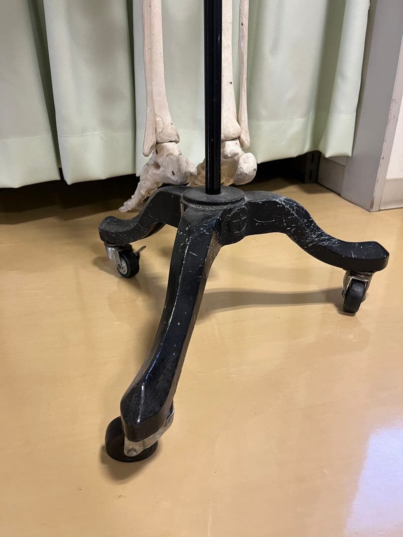 人体骨模型　NOZAKI 160cm 整形外科