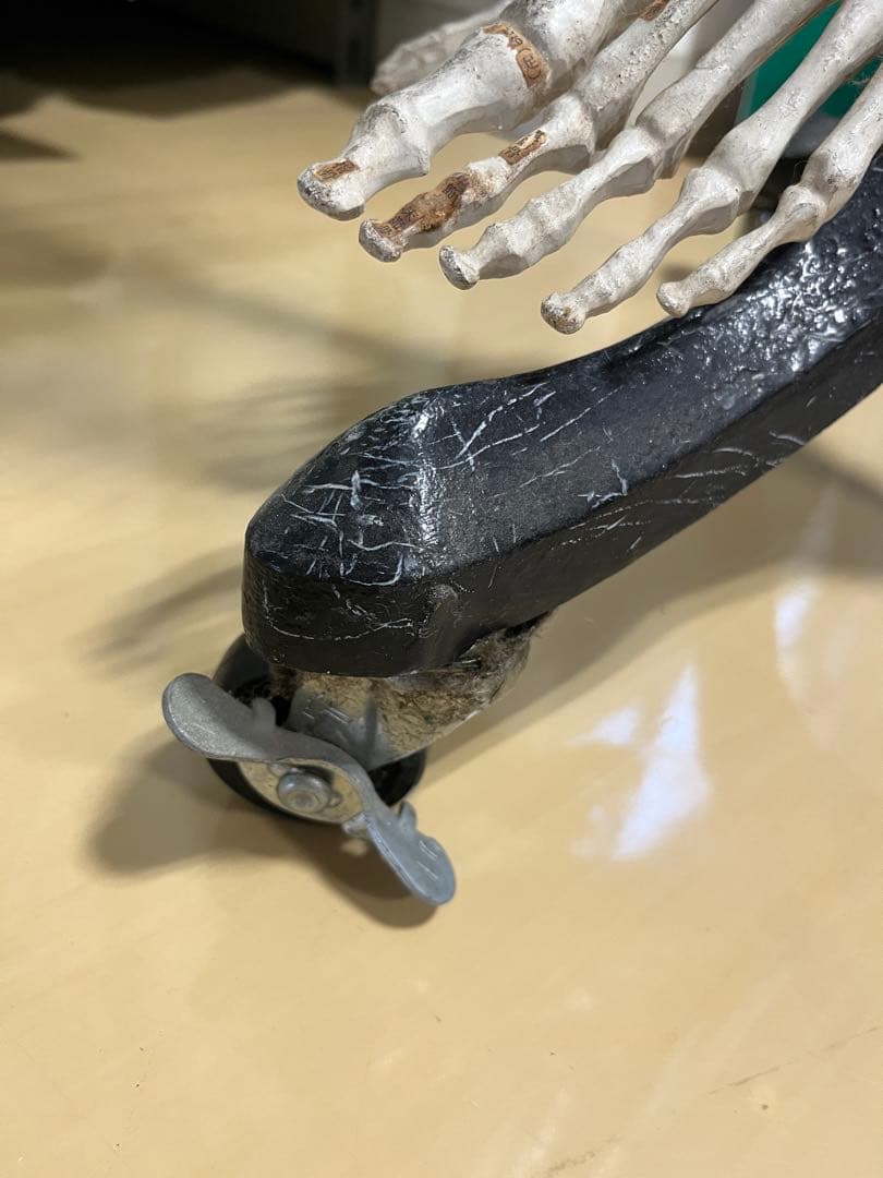 人体骨模型　NOZAKI 160cm 整形外科