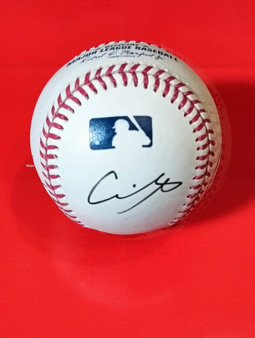 大谷翔平 佐々木朗希 山本由伸　直筆サインボール　MLB公式試合球　ドジャース 大谷翔平 山本由伸 佐々木朗希 直筆サインボール メジャーリーグ公式球