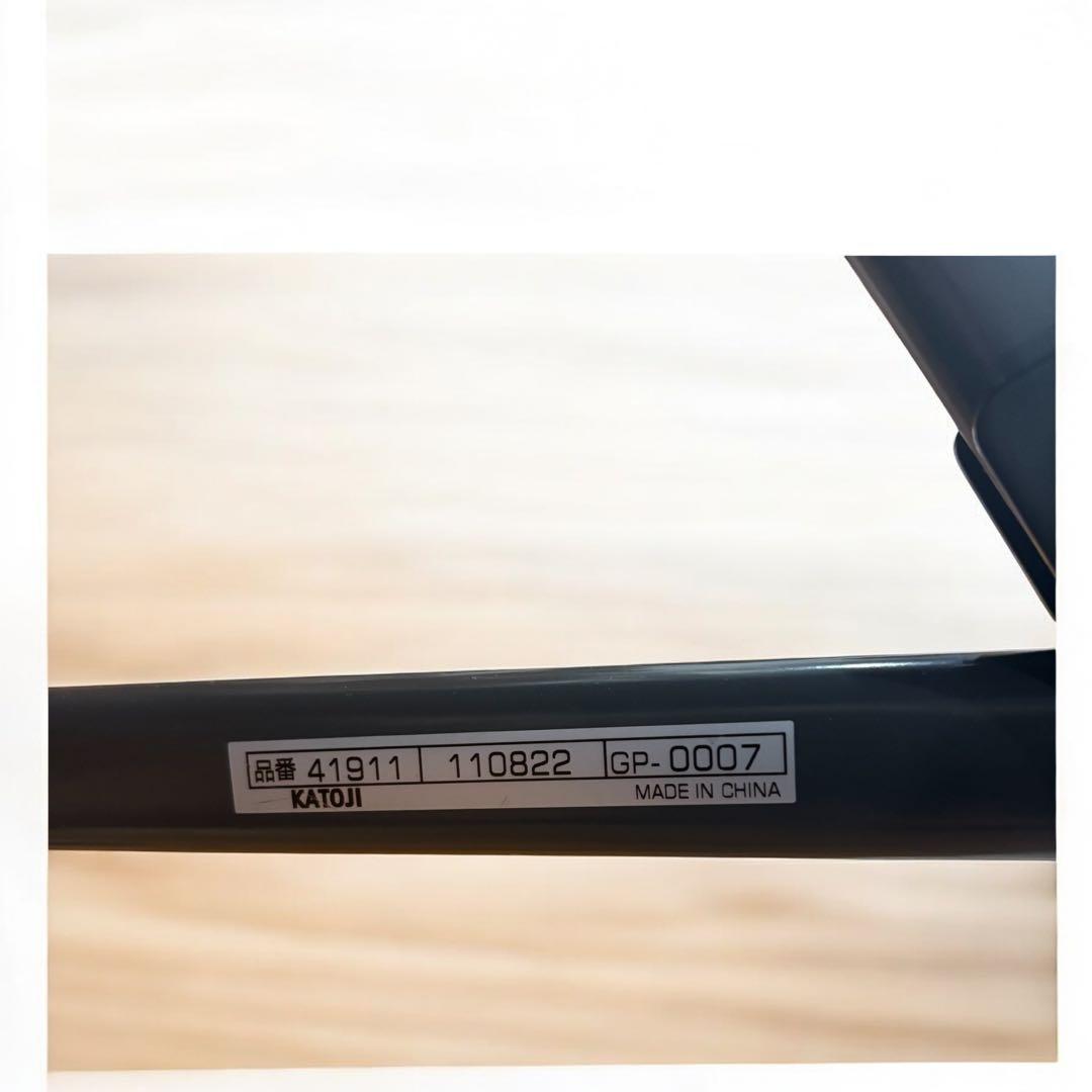 美品✨清潔安心 KATOJI 2人でゴー 兄弟お出かけに