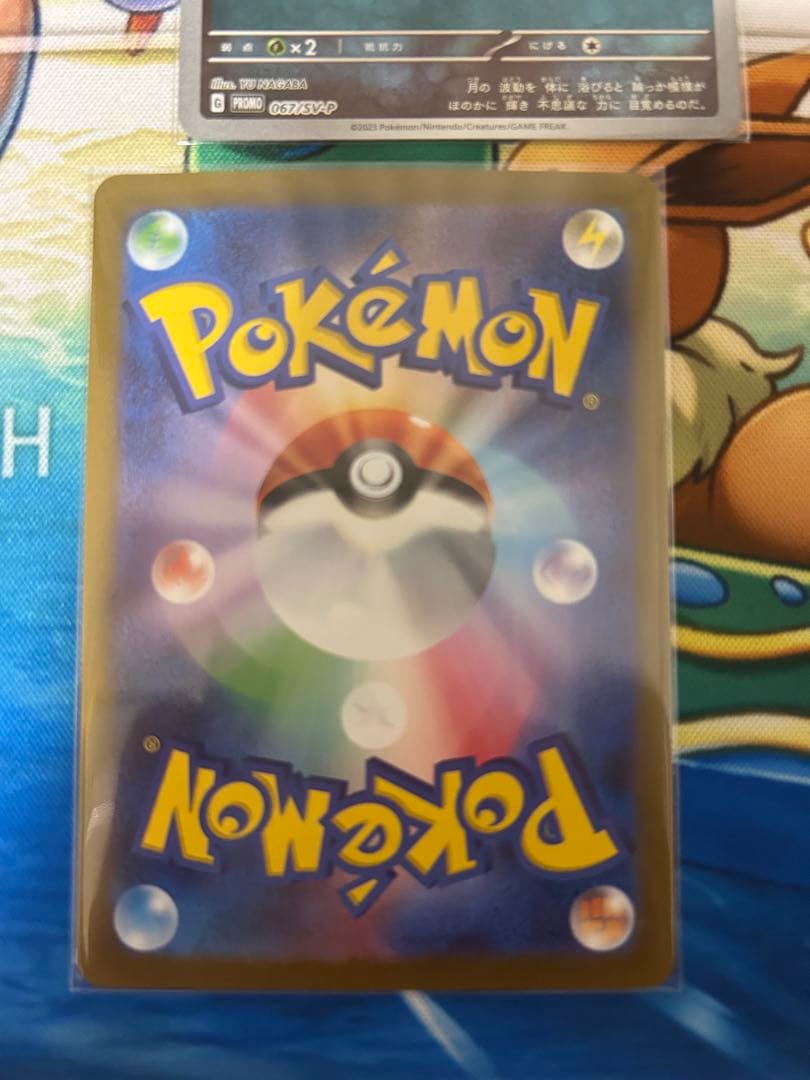 長場　イーブイ　コンプ　セット