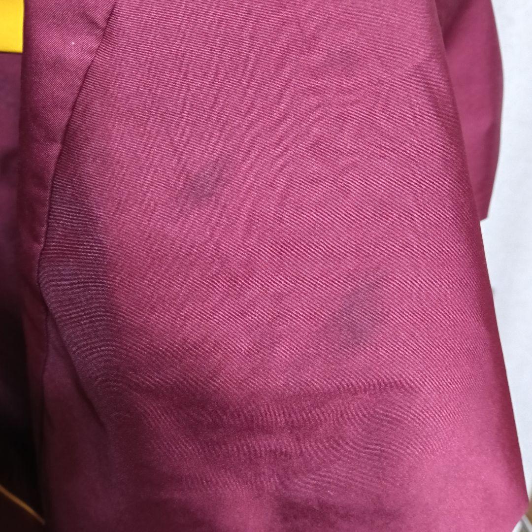 希少/支給品】デサント製 東北楽天 ナンバー入り トレーニングプル