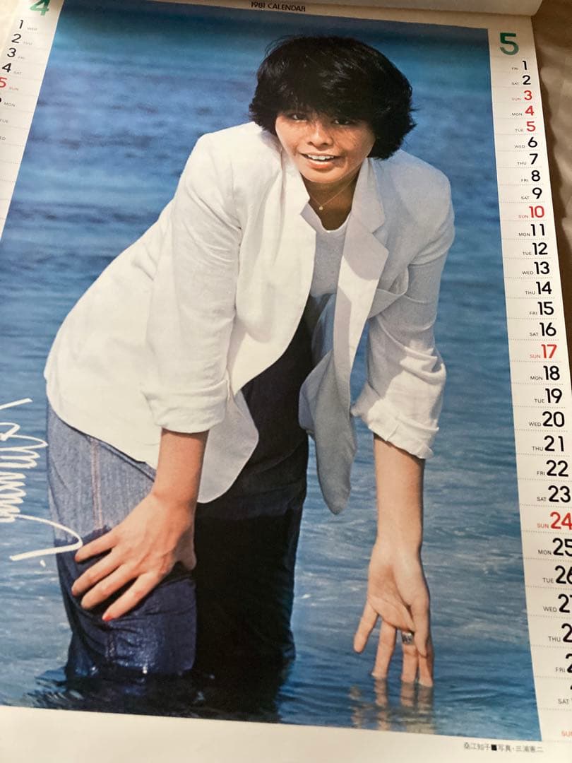 希少1981年 渡辺プロダクションカレンダー 沢田研二　石川ひとみ　太田裕美　他
