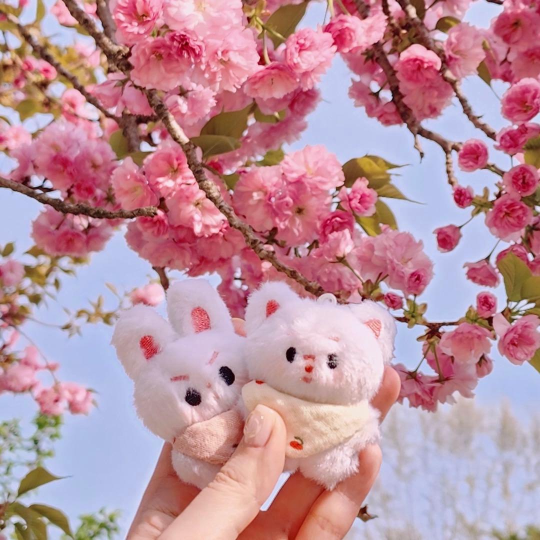 ジミン ジョングク マスター マスタニム ぬいぐるみ ヨンモリ