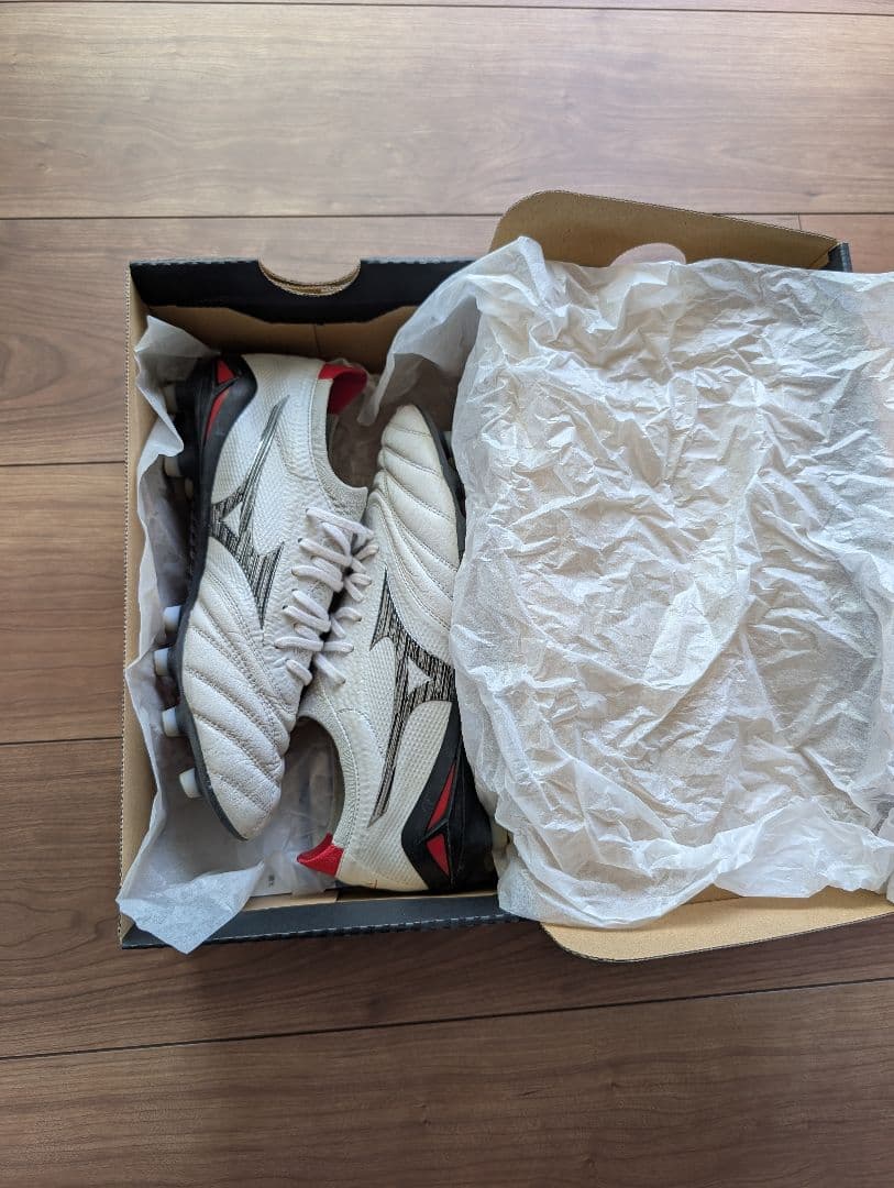 モレリアネオ4βジャパン　23.5cm