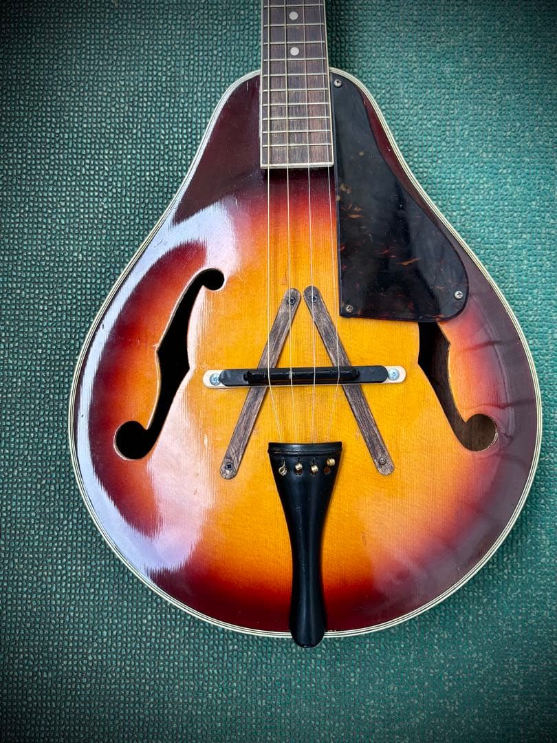 うしっちさん専用 チェロエンドピン 10ミリセット