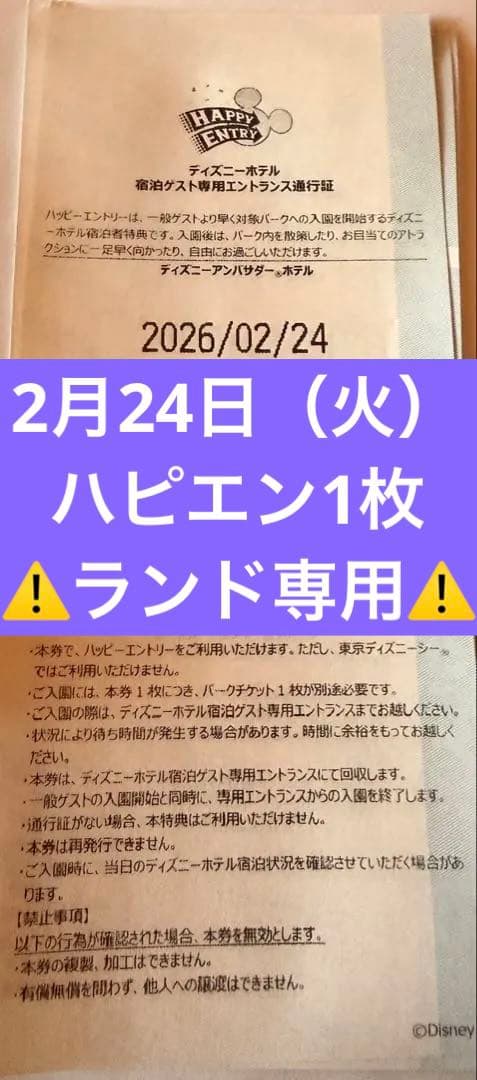 2月24日 ハピエン 1枚 ランド限定 ハッピーエントリー - メルカリ