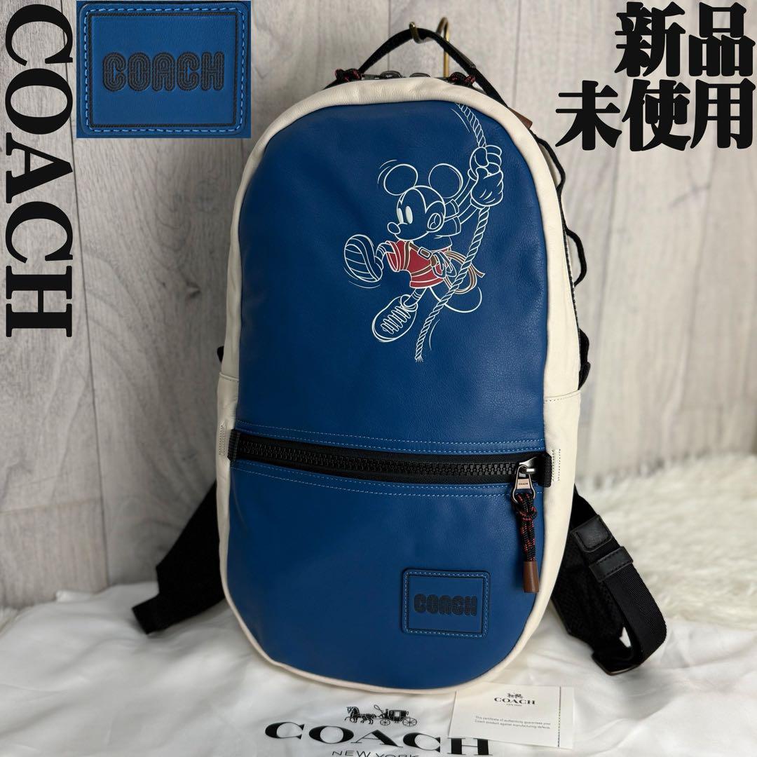 新品♡保存袋付♡COACH コーチ ディズニー コラボ ロゴ レザー