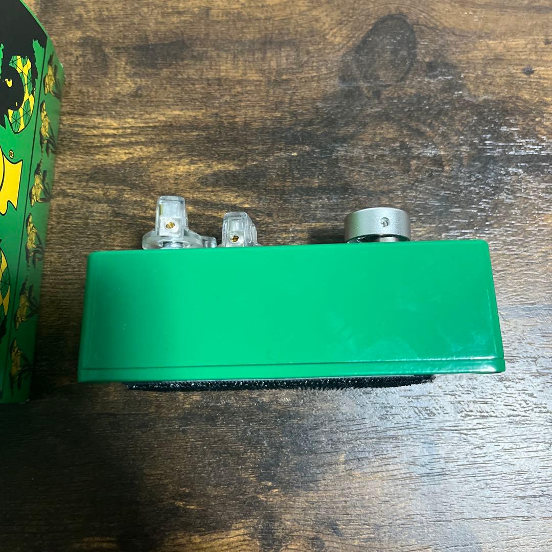 値下げ受け付けます！EarthQuaker Devices Ghost Echo