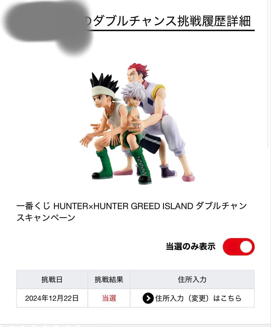 全世界限定50個】ハンターハンター 一番くじ ダブルアップチャンス