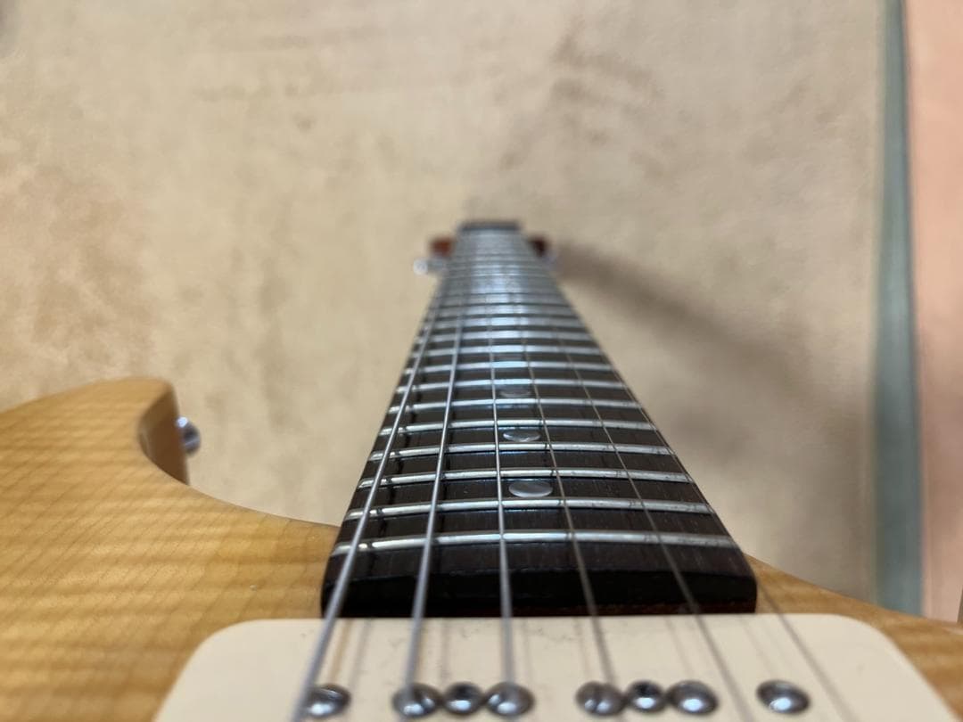 希少】PRS SE Cnstom 22 セミホロウ P-90タイプ - メルカリ