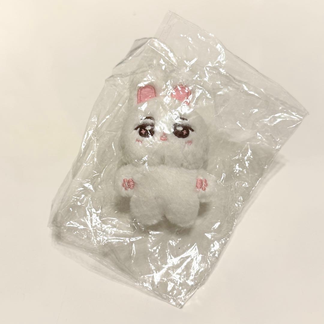 ALD1 ボイプラ サンウォン 10cm マスター ぬいぐるみ - メルカリ