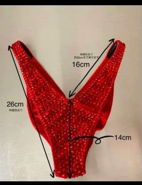 ★JBBF 　SV Bikini　ビキニケース付