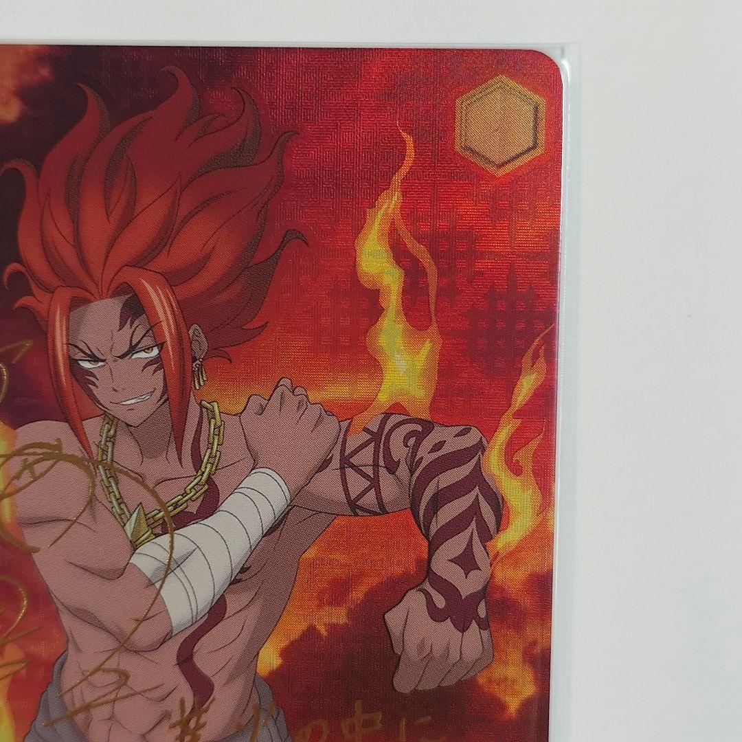 WS FAIRY TAIL SSP ルーシィ・SP グレイ・SP イグニアセット - メルカリ