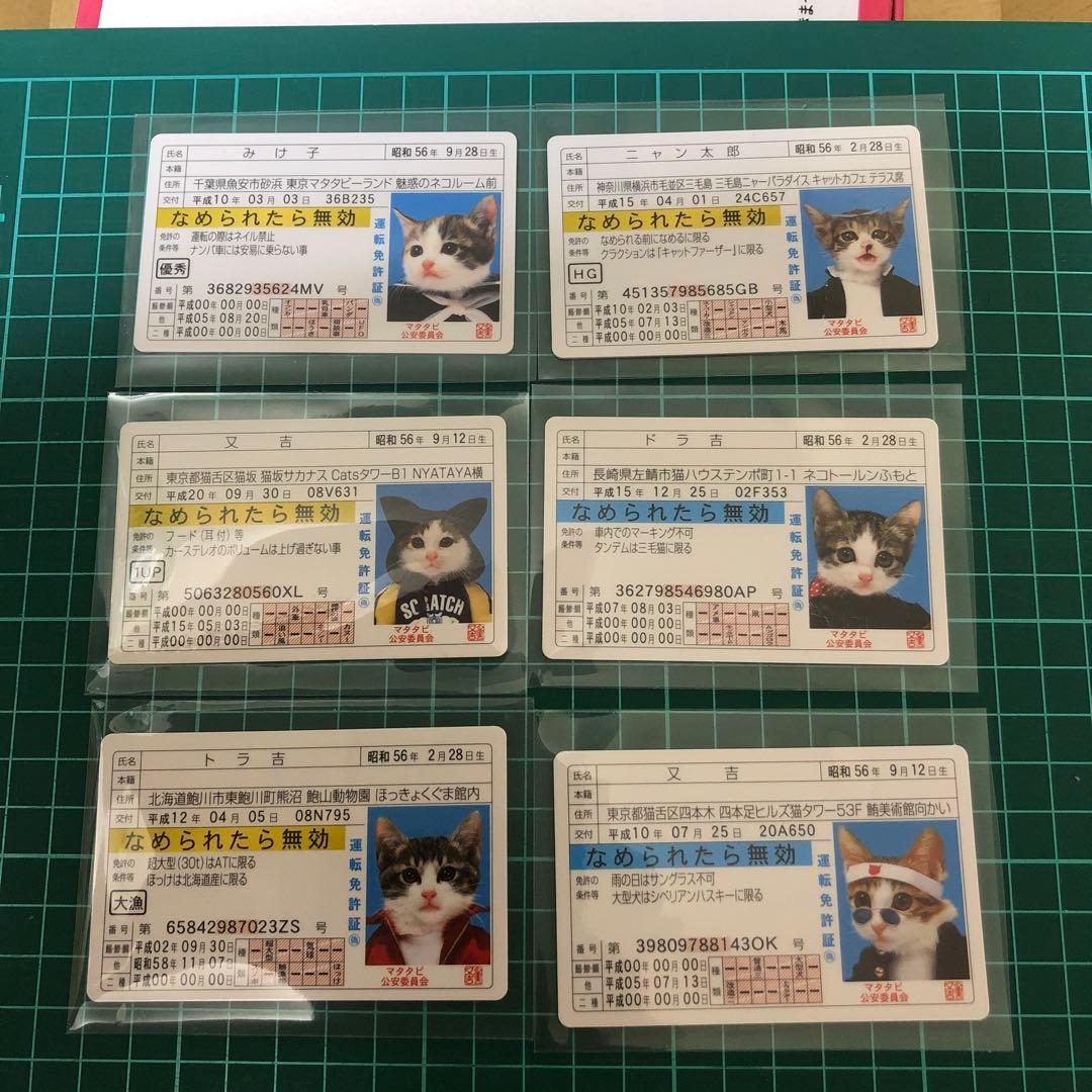なめ猫免許証 6枚セット - メルカリ