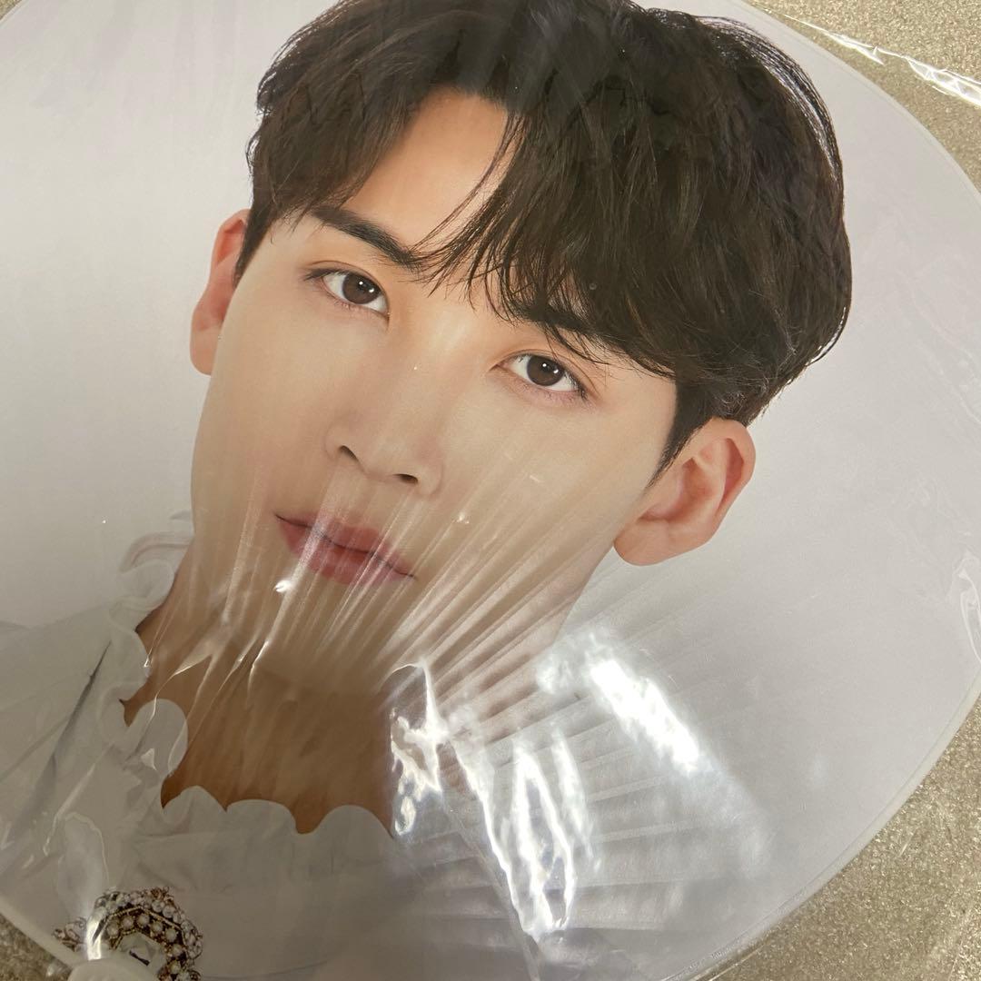 seventeen セブチ ジョンハン うちわ まとめ売り