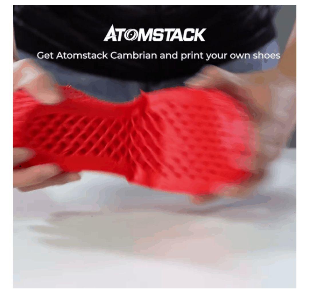 未使用】AtomStack Cambrian Max TPRラバー3Dプリンタ - メルカリ