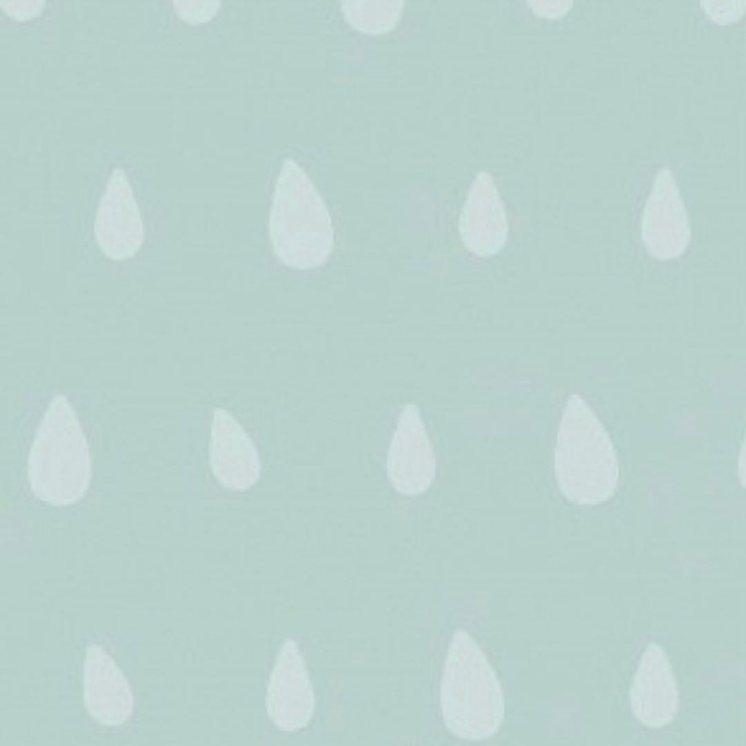 桜蘭高校ホスト部 まとめ売り ポスター 須王環 鳳鏡夜 - メルカリ