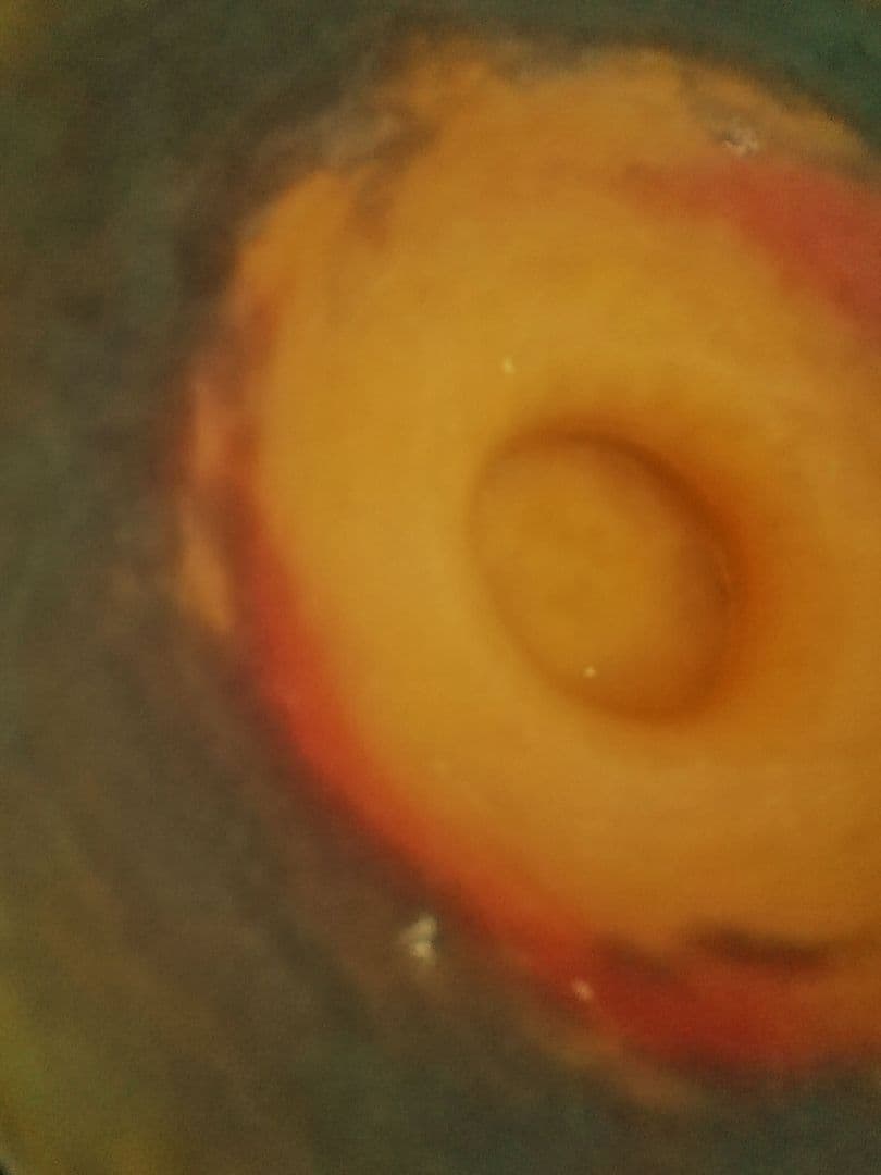 アール・ヌーヴォー コンポート アンティーク ミューラー ヴィトリオ