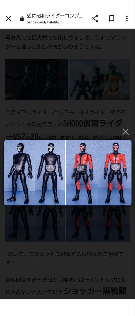 SHODO 仮面ライダー VS 仮面ライダー シン & J 本郷猛 掌動-XX - メルカリ