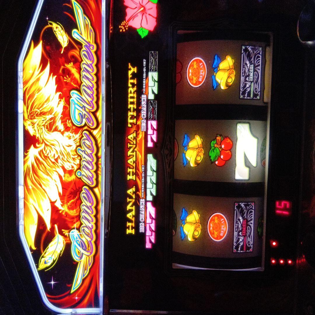 ホウオウハナハナ