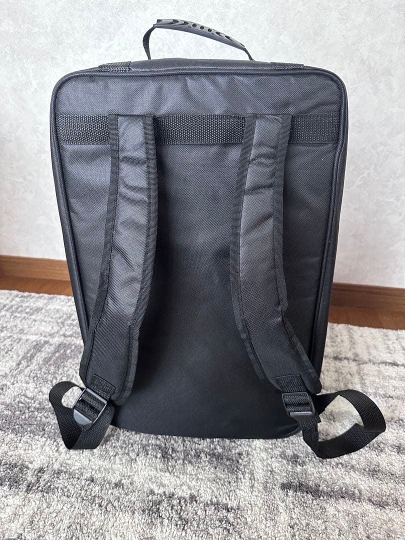 Schlogwerk シュラグヴェルク カホン CP150 ケース付き - メルカリ