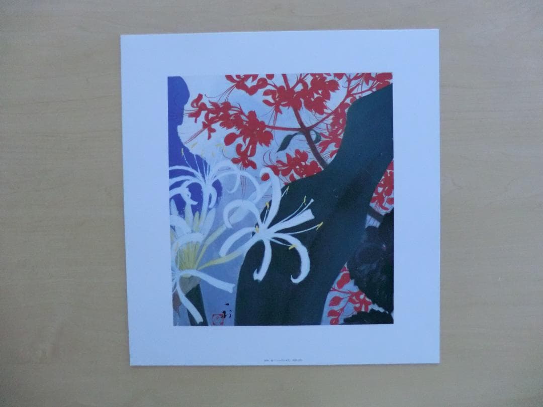 田中一村色紙傑作選 黒潮の画譜12景 額装版 日本放送出版協会 第1版