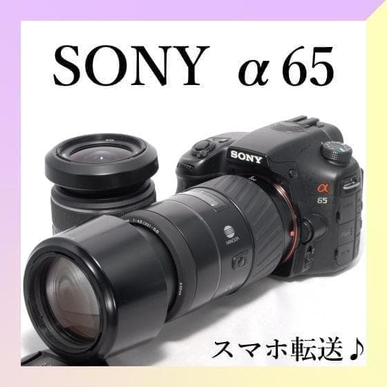 ✨SONY α65✨ダブルレンズ✨初心者おすすめ✨高速連射✨超高画質✨一眼