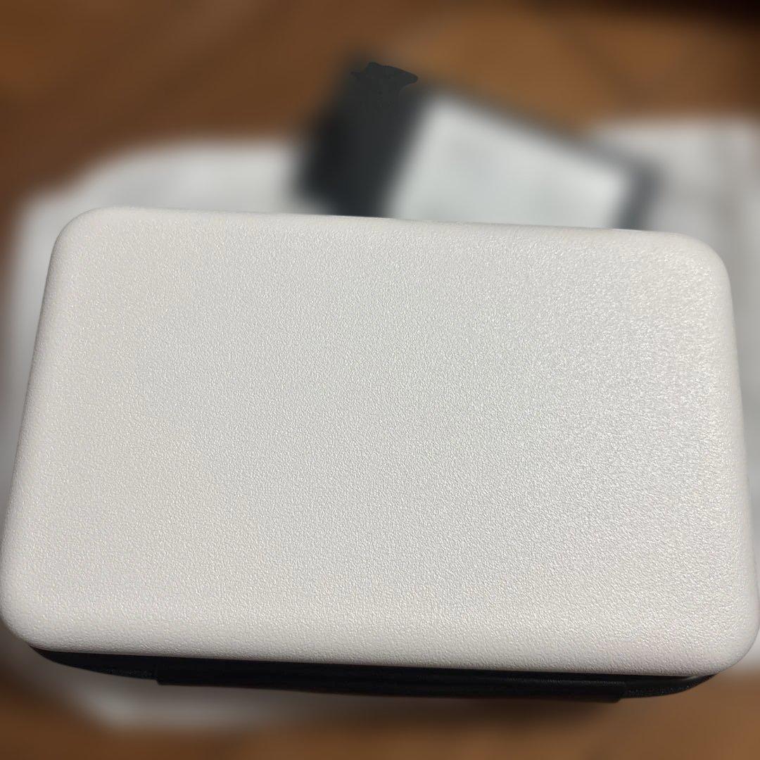 UENO Panda Family ace 新品未使用パンダ　限定シャンシャン