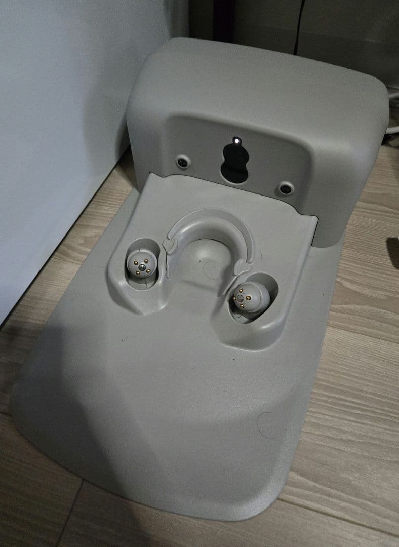 2024 9月購入ちゃLOVOT 3.0 本体＋Nest＋お洋服+鼻（譲渡手続)