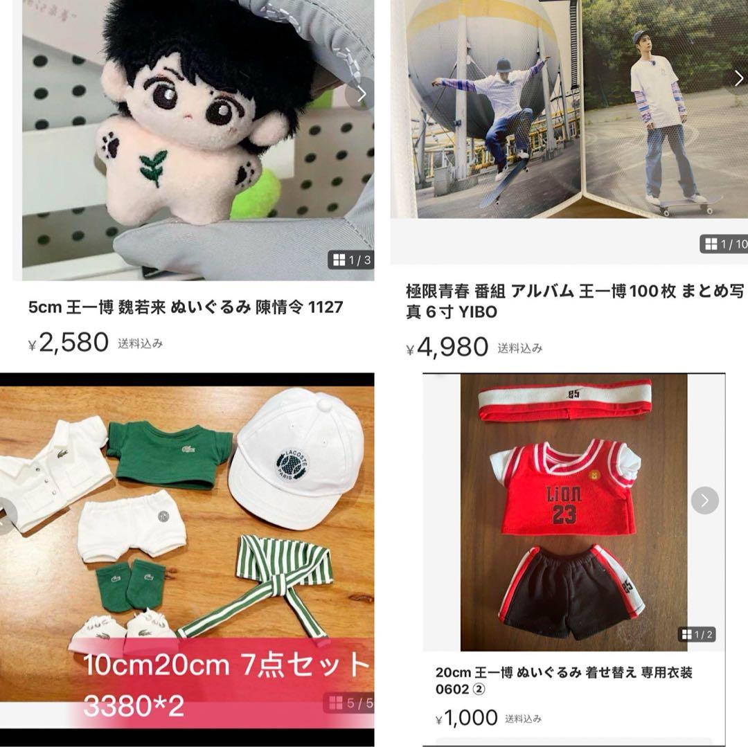 即購入 せきせいくうページ20