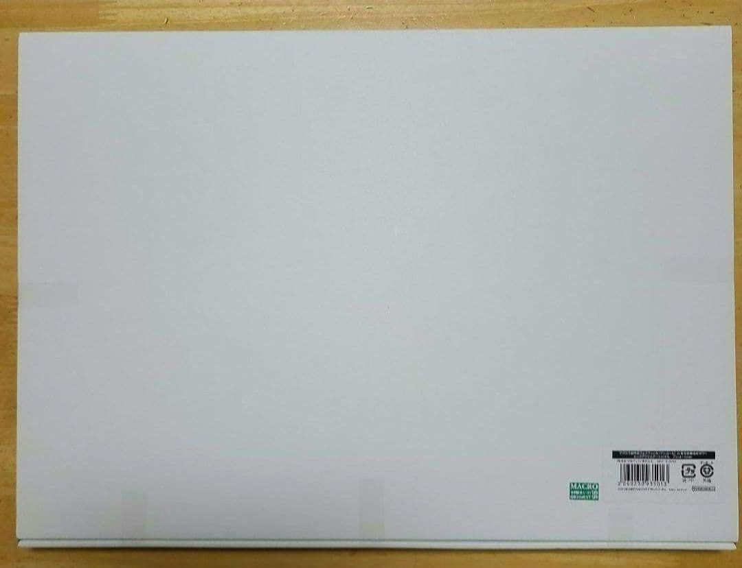 マクロス　超時空フェスティバル ビッグ アクリルアートパネル アンコールver.