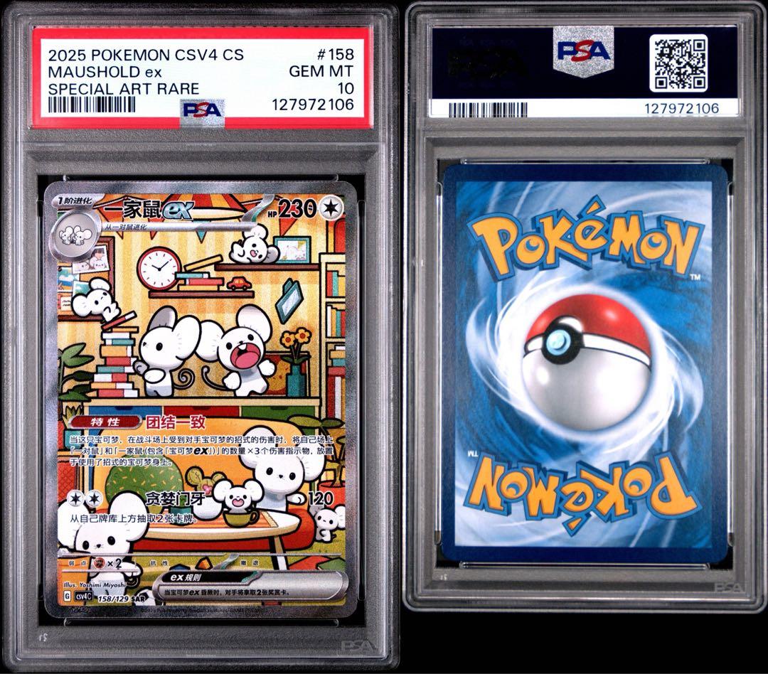 イッカネズミ 中国 SAR PSA10