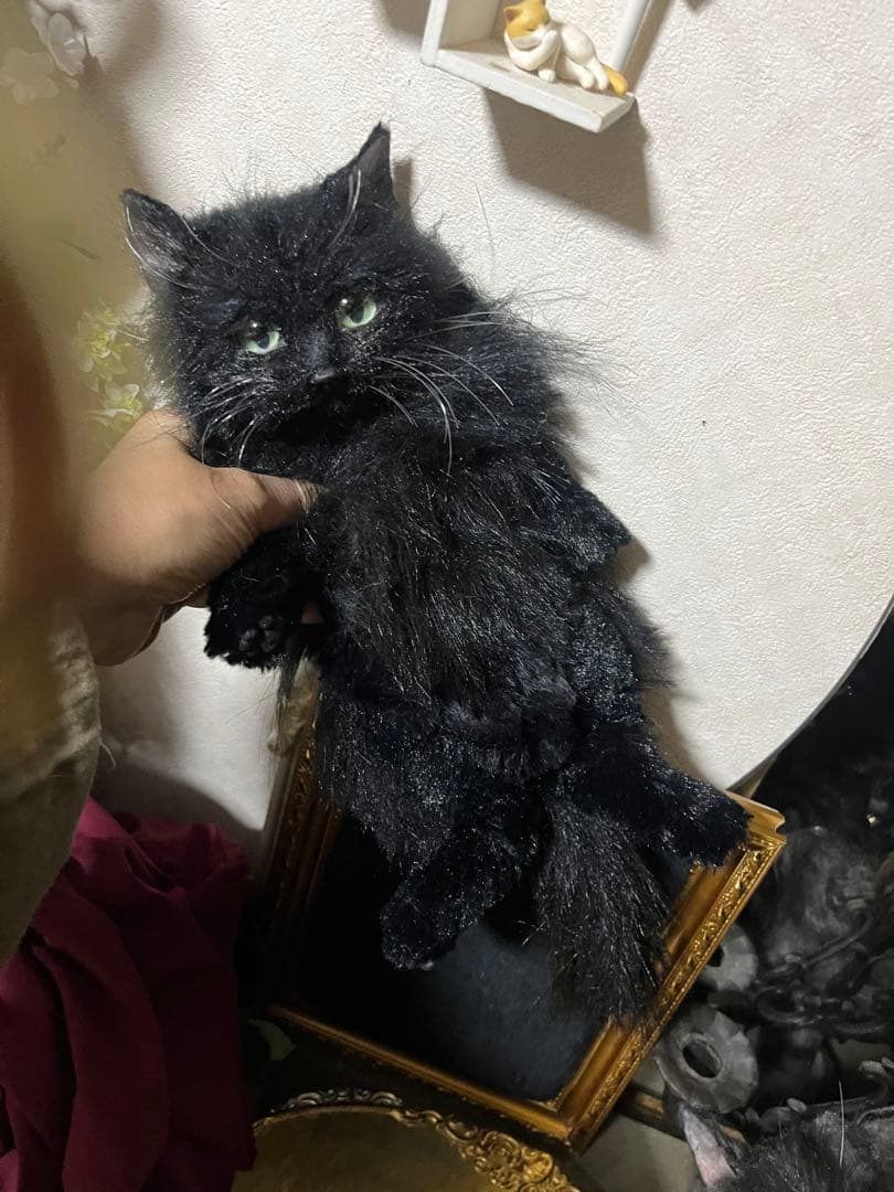 黒猫 30センチ 263b3027ef015f0d5ea9a0c631f005
