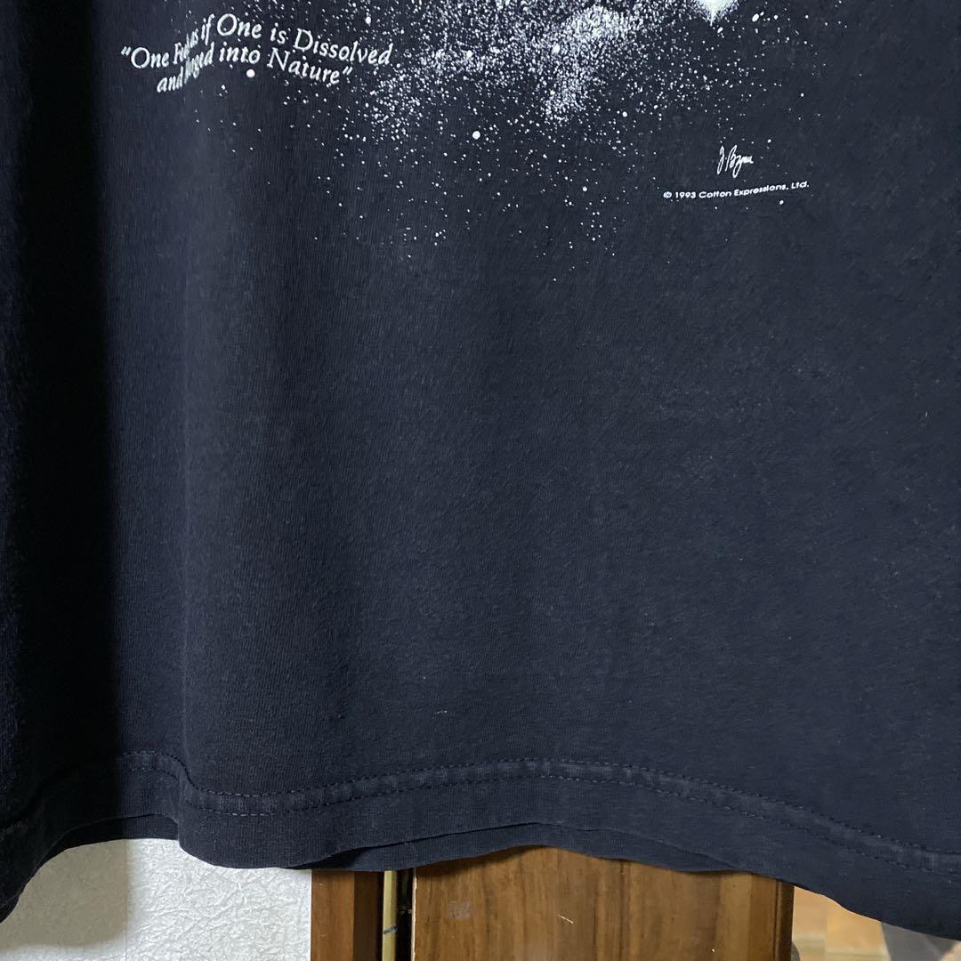 90s アインシュタイン Tシャツ ビンテージ 偉人 アート XL スーベニア