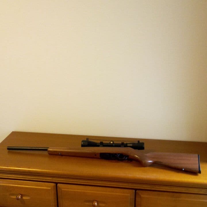 MGC ルガー10／22 SSSスペリオール