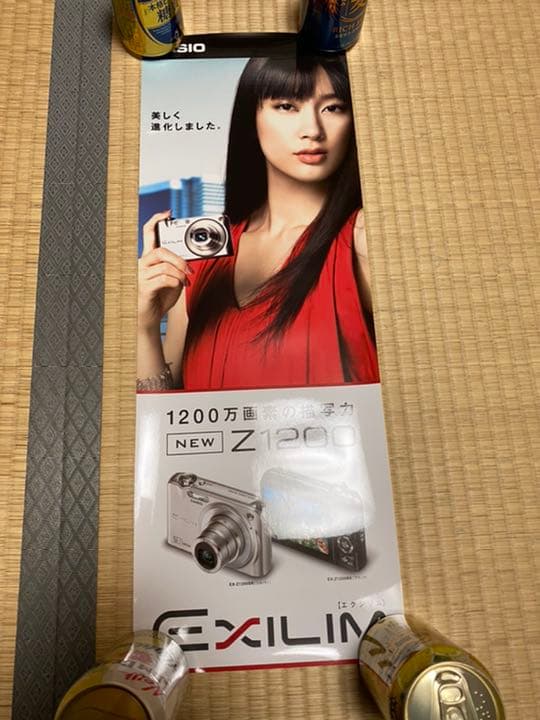 水川あさみ CASIO EXILIM（エクシリム）ポスター5枚セット