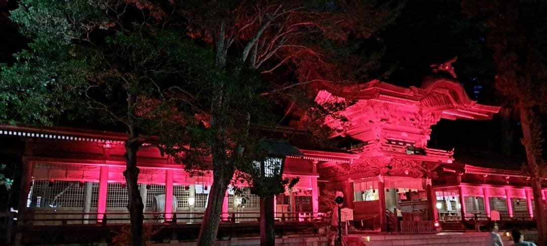 諏訪大社 秋宮限定 短期間数量限定 開催期間連続日付 夏詣御朱印8種