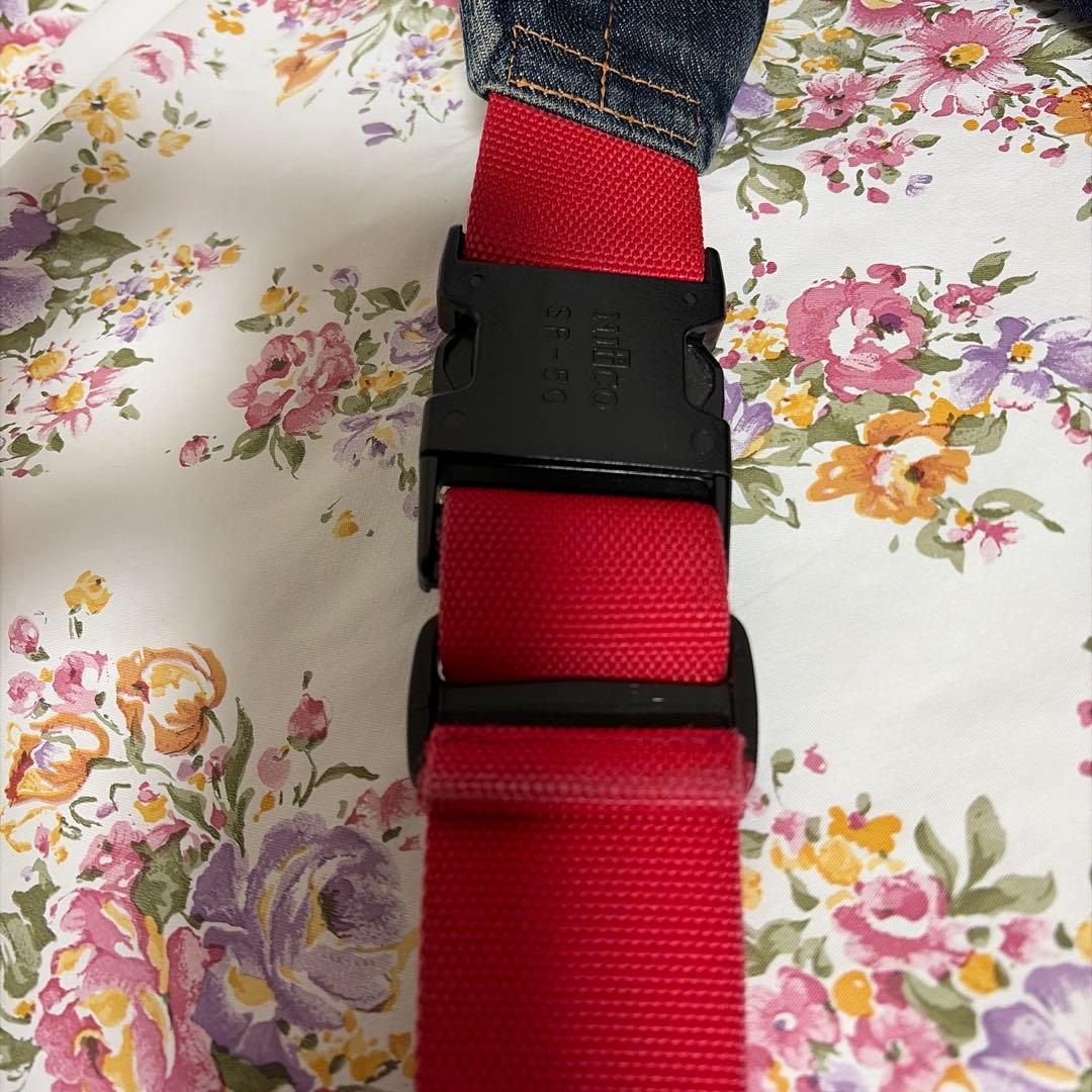 EVISU ボディバック 希少エビスヤ赤タブ かもめ 5ポケット エヴィス