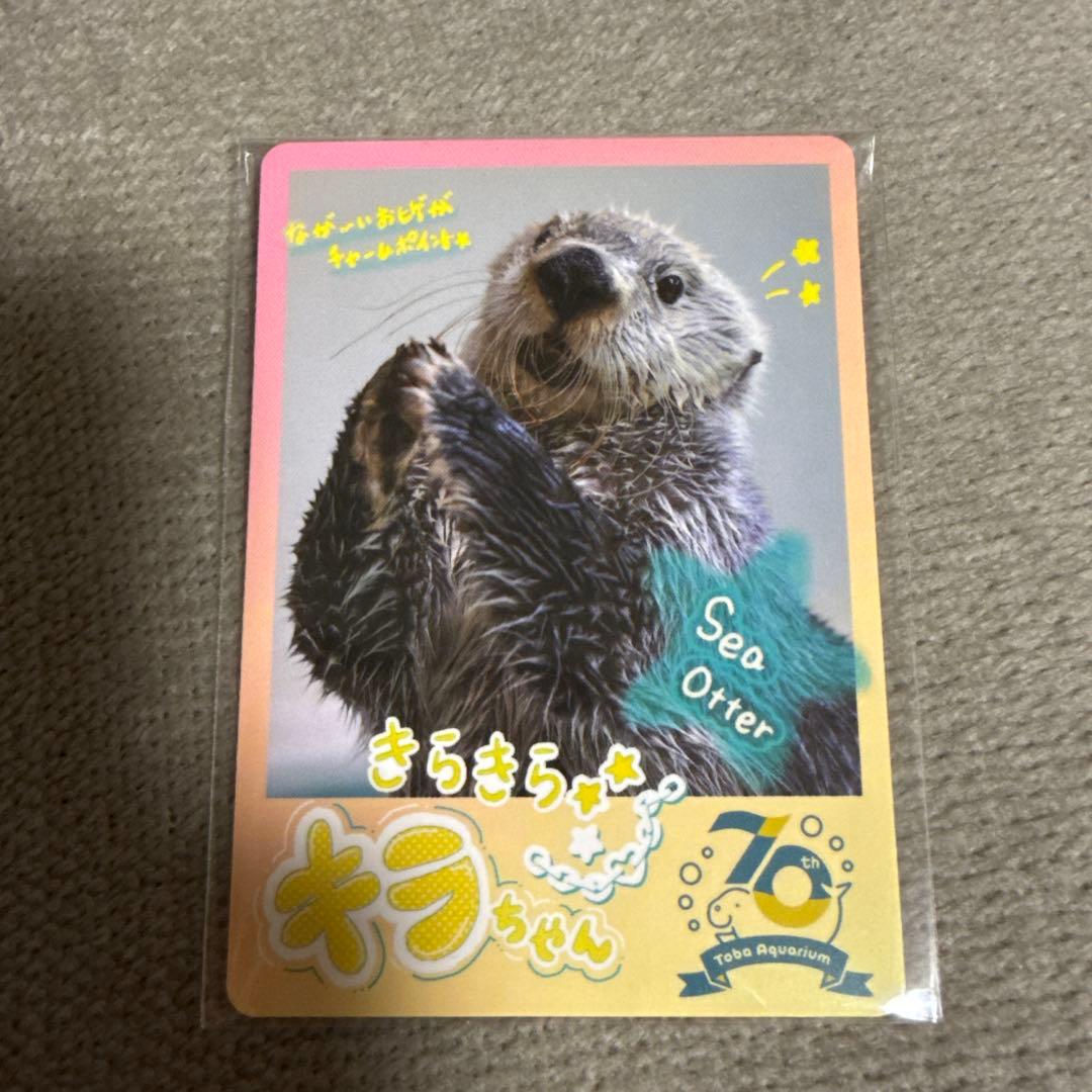 鳥羽水族館 コレクションカード キラちゃん ラッコ - メルカリ