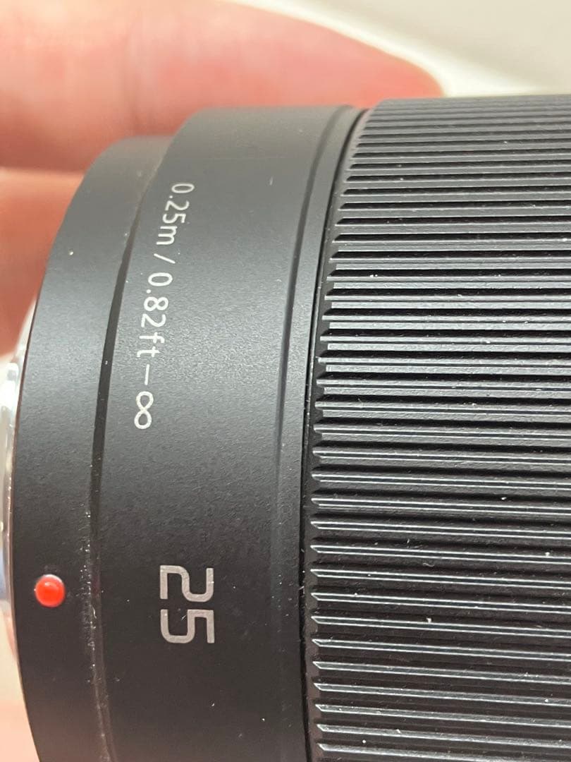 パナソニック ルミックス DMC-GM1 一眼レフ レンズ H-H025【①】