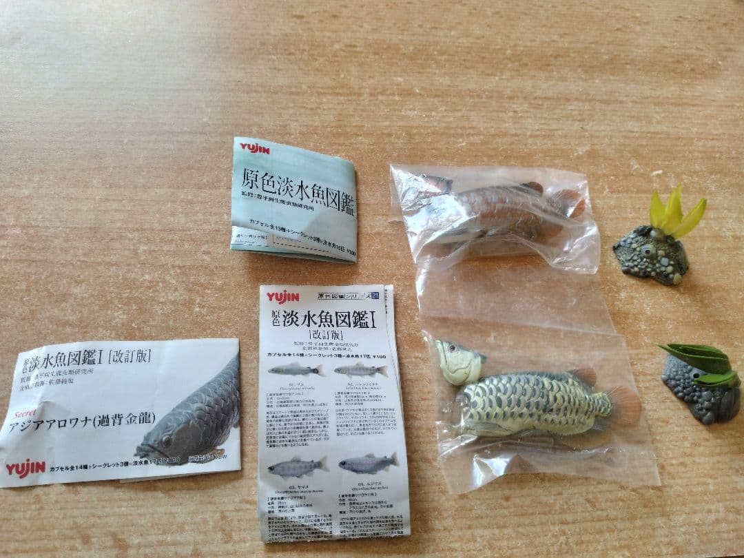 原色淡水魚図鑑 シークレット アジアアロワナ 2個セット - メルカリ