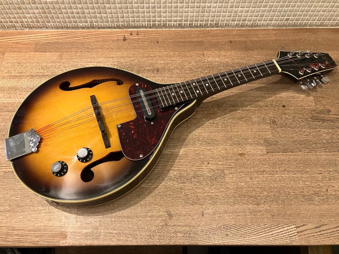 aria エレキマンドリン (Ritter ケース付き) Amazon | ARIA アリア 電子マンドリン AM-20E ハードケース付き