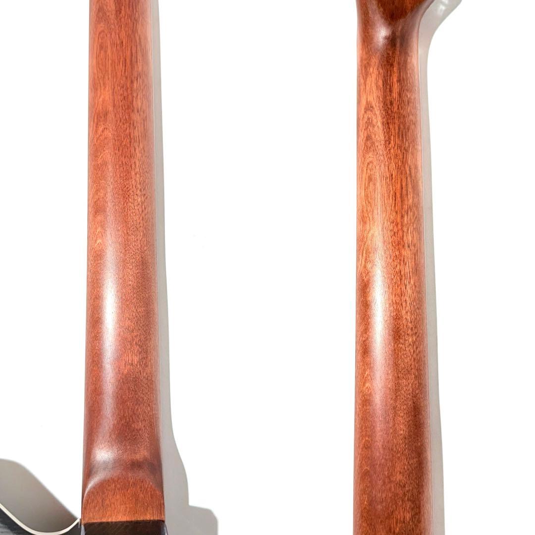 希少】Custom Telemaster Reverse テレマスターリバース - メルカリ