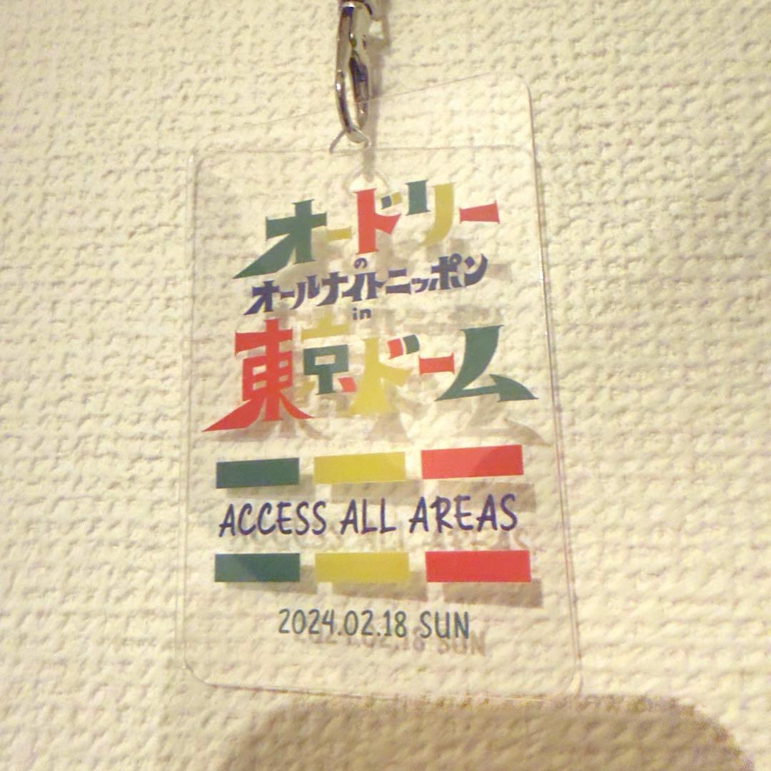 極貴重品 オードリー オールナイトニッポン 東京ドーム 関係者パス 15