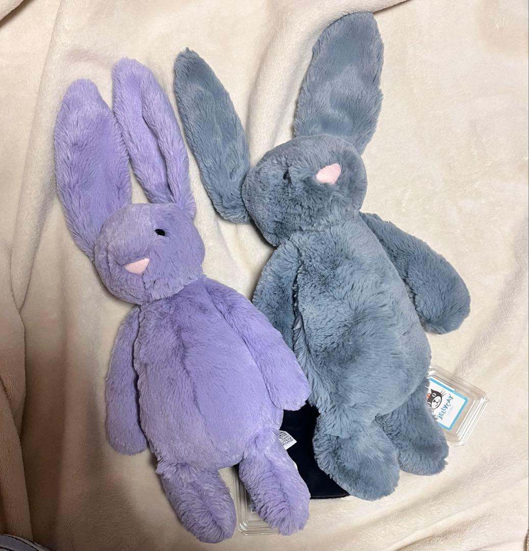  Bashful Dusky Blue ・Viola