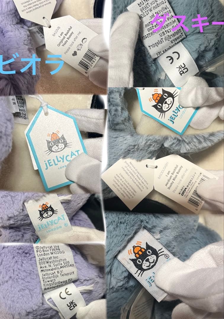  Bashful Dusky Blue ・Viola