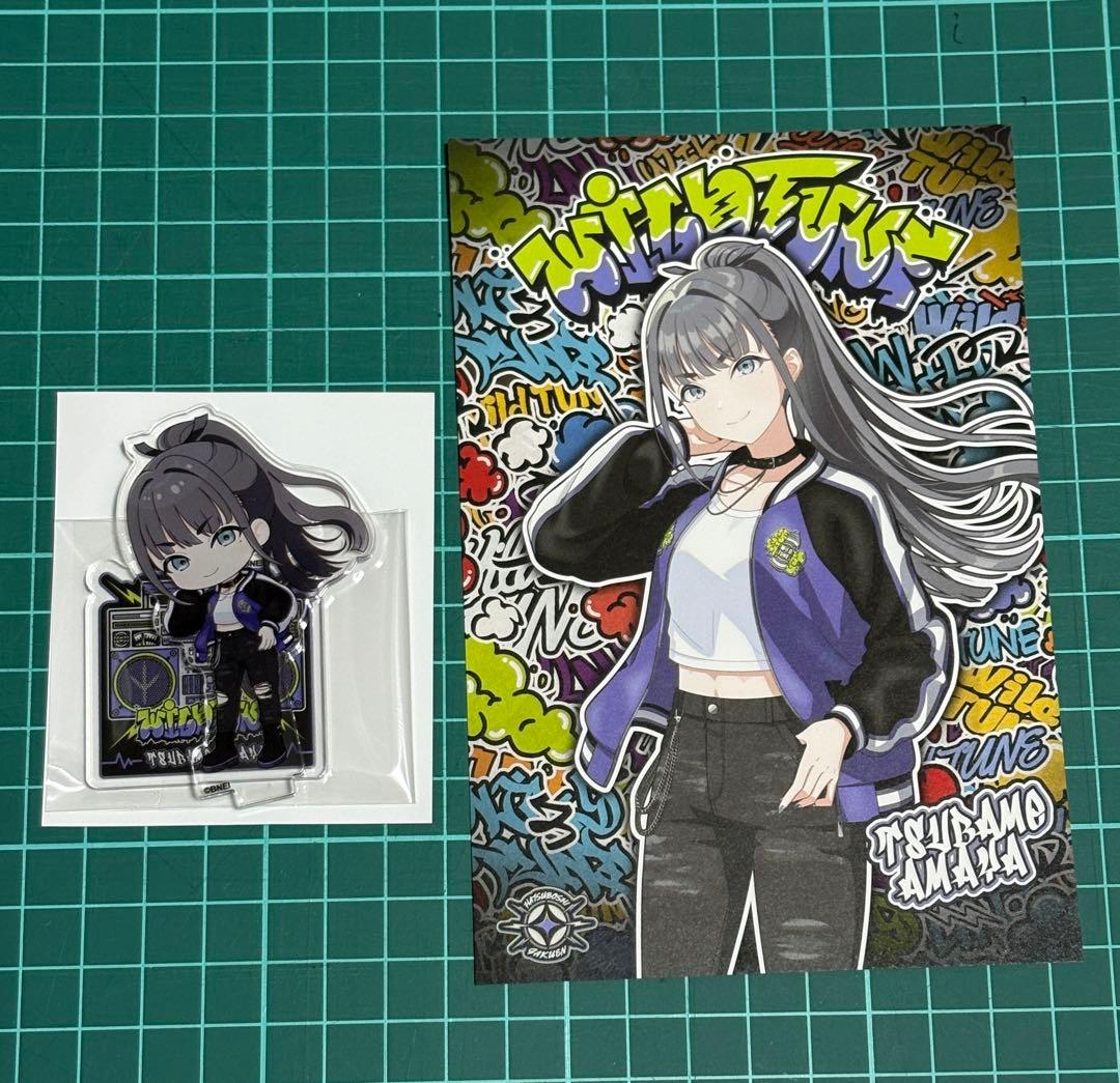 学マス TSUTAYA Wild TUNEセット 雨夜燕 - メルカリ