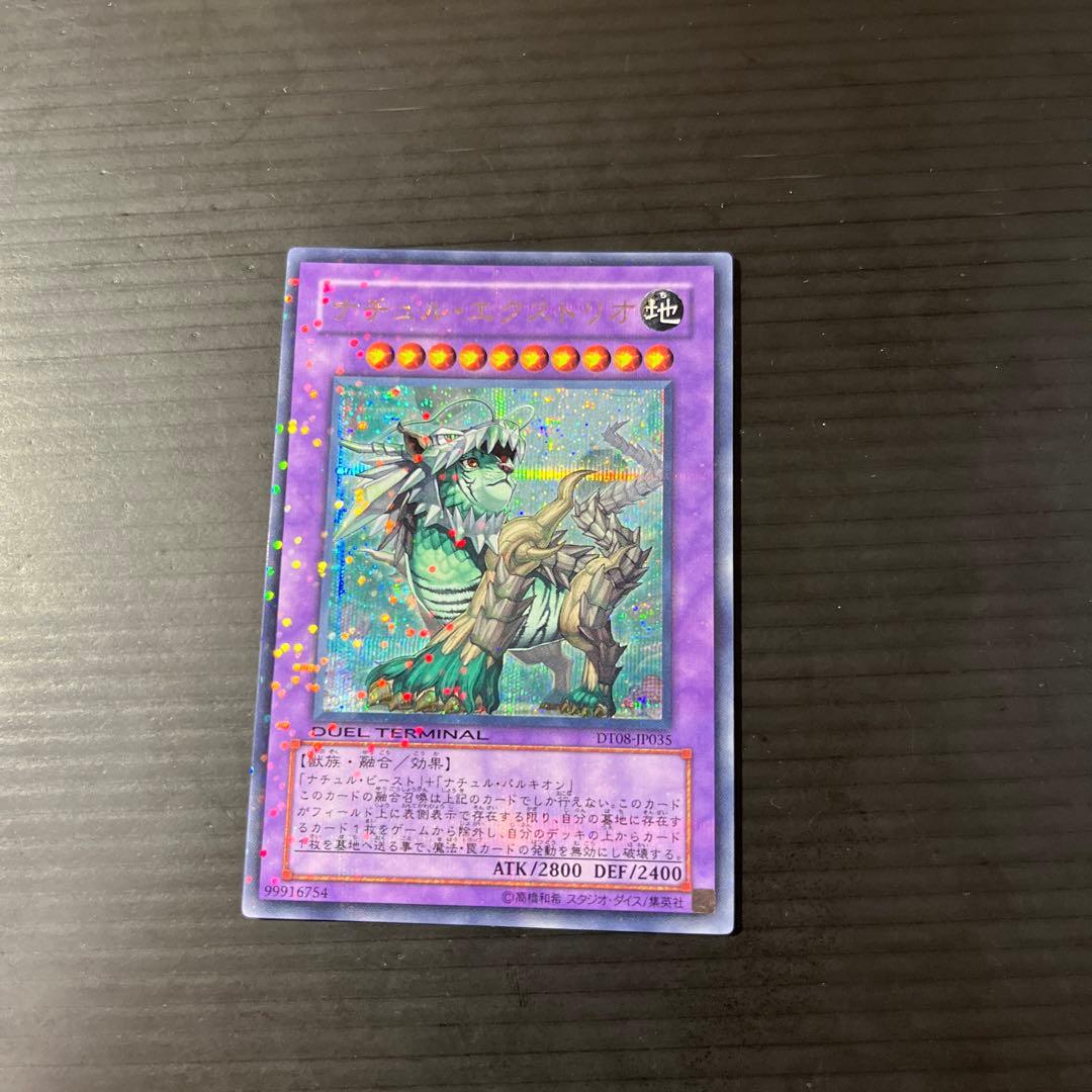 遊戯王 ナチュルエクストリオ DT シークレット - メルカリ