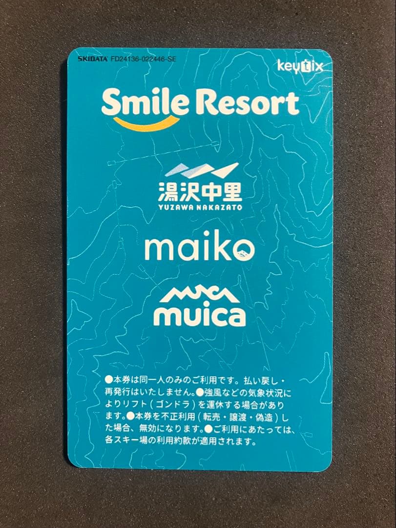 舞子スノーリゾート 1dayパス大人早割 2025-2026 - メルカリ